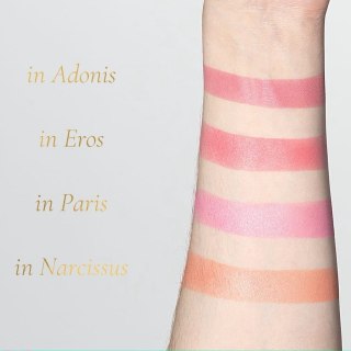 Blush Romance in Narcissus
