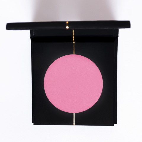 Blush Romance in Paris Blush Romance in Paris