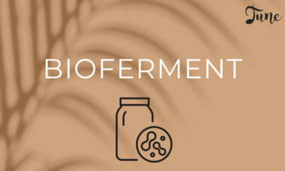 Bioferment Sinohizobium Meliloti – fermentacyjny booster nawilżenia